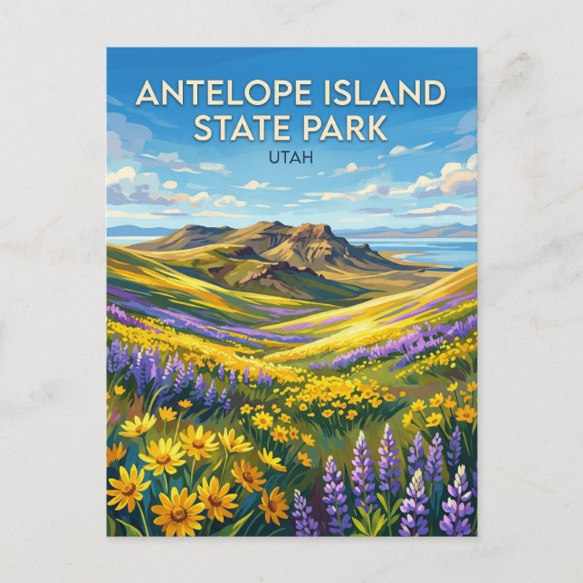 Antelope Island State Park Utah Postcard (Front)