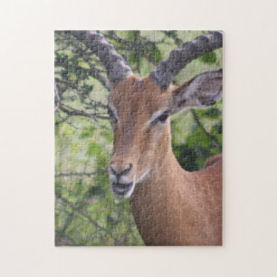 Antelope Jigsaw Puzzle