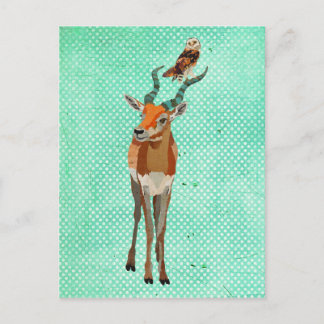 ANTELOPE & OWL Postcard