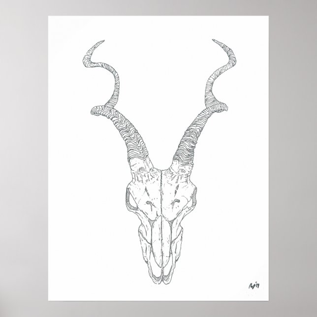 Antelope Print (Front)