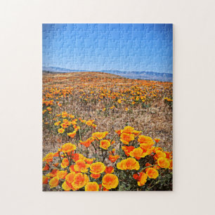 Antelope Valley California Poppy Reserve Puzzle