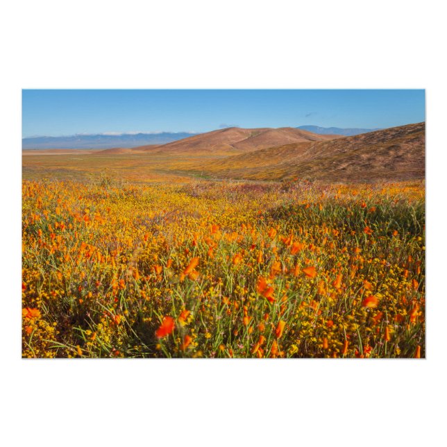 Antelope Valley Poster (Front)