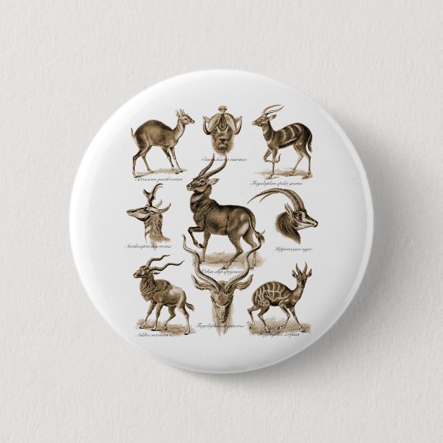 Antelopes 6 Cm Round Badge (Front)