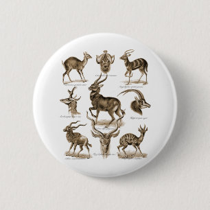 Antelopes 6 Cm Round Badge