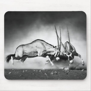 Antelopes Fighting Mouse Pad