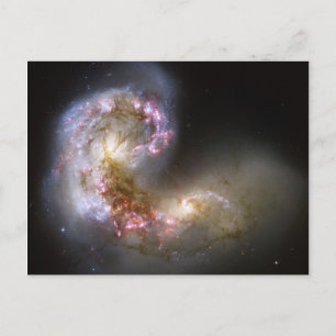 Antennae Galaxies Postcard