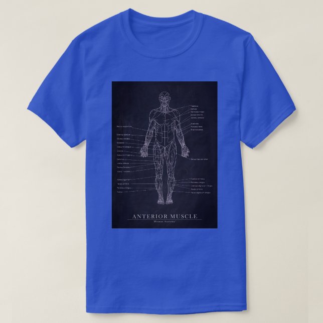 Anterior Muscle Human Anatomy Blueprint Art T-Shirt (Design Front)
