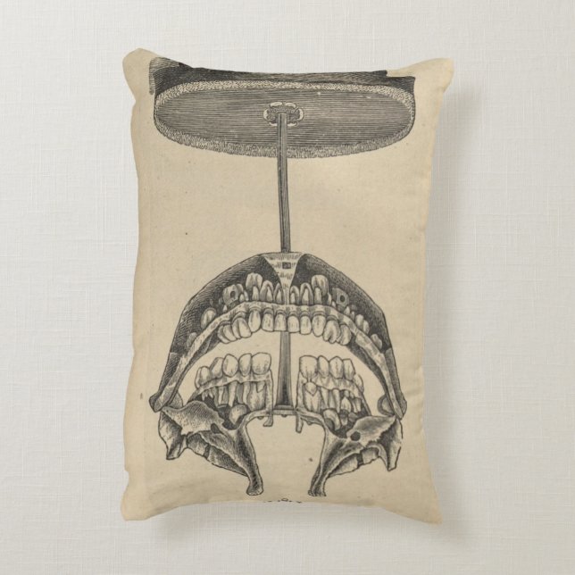 Anterior Teeth Model Decorative Cushion (Back(Vertical))