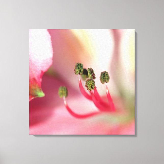 Anther Stretched Canvas Print (Front)