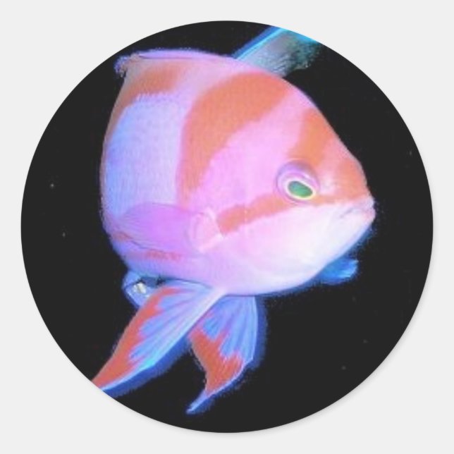 Anthias Classic Round Sticker (Front)