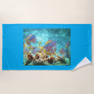 Anthias - Colourful school of fish at coral reef   Beach Towel