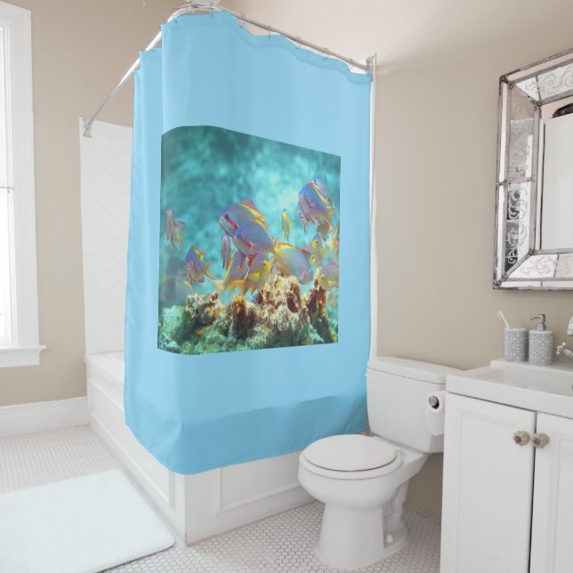 Anthias - Colourful school of fish at coral reef | Shower Curtain (In Situ)