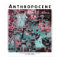 Anthropocene III - Bolivian Rain Forest