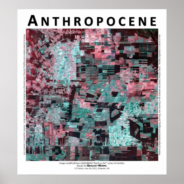 Anthropocene III - Bolivian Rain Forest Poster (Front)