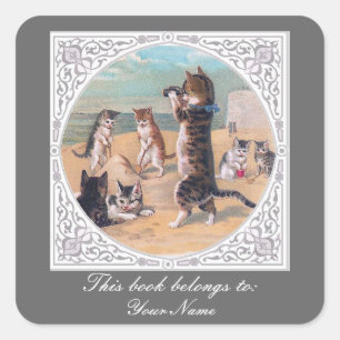 Anthropomorphic Cats at the Beach Square Sticker