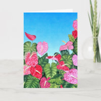 Anthurium Sky