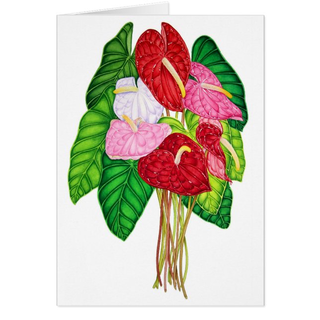 Anthuriums (Front)