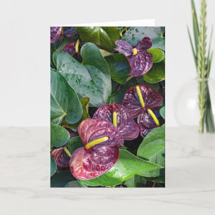 Anthuriums thank you card