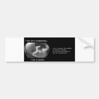 Anti Abortion Bumper Sticker