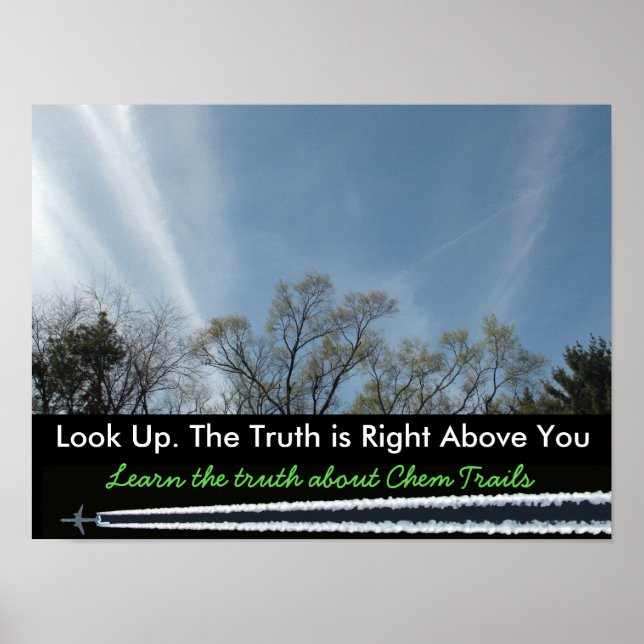 Anti Chem Trail Educational Poster (Front)
