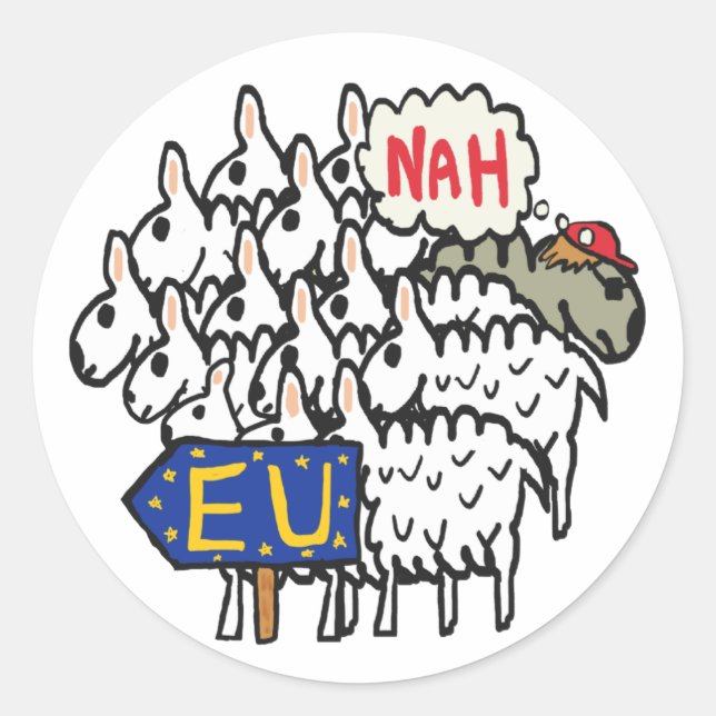 Anti EU Brexit Classic Round Sticker (Front)