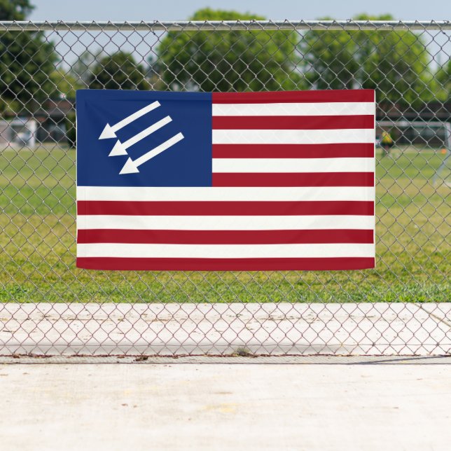 Anti-Fascist American Flag Banner (Insitu)