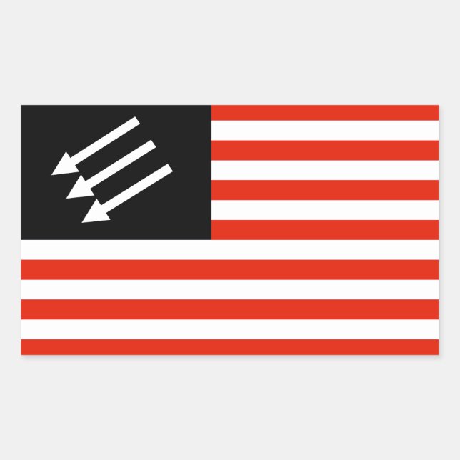 Anti-Fascist American Flag Rectangular Sticker (Front)