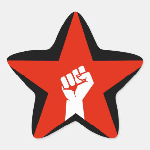 Anti-Fascist Star Sticker