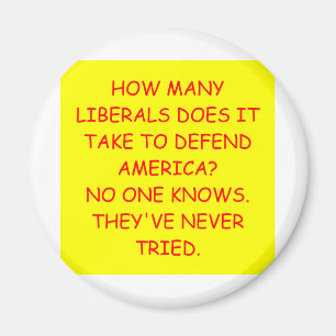 anti liberal anti obama joke magnet