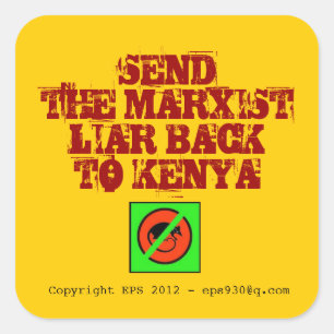 Anti Obama Square Sticker