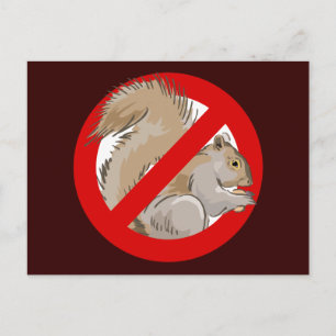 Anti-Squirrel Postcard