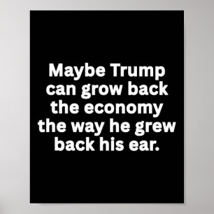 Anti-trump Funny Sarcastic Political Humor Satire  Poster