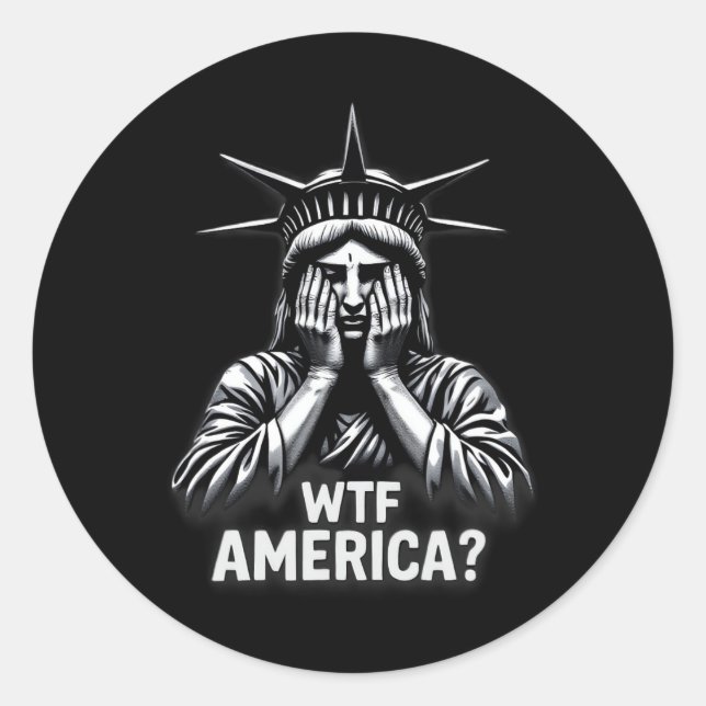 Anti-trump Political And Democracy Wtf America 3  Classic Round Sticker (Front)