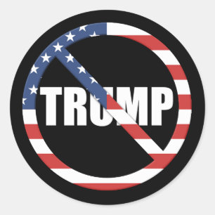 Anti-Trump Pro-Democracy Classic Round Sticker