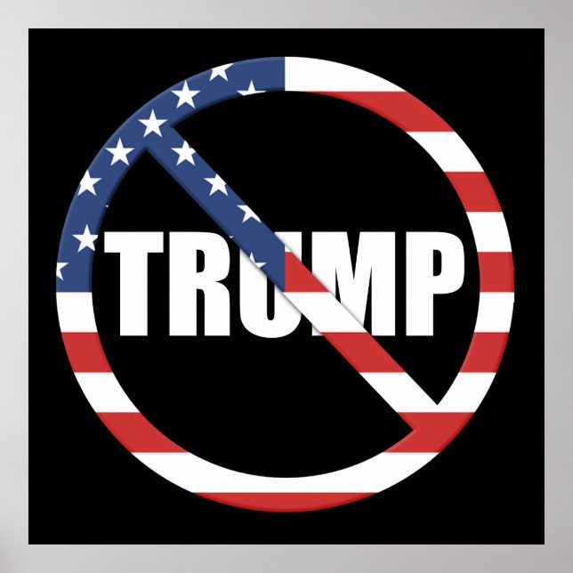 Anti-Trump Pro-Democracy Poster (Front)