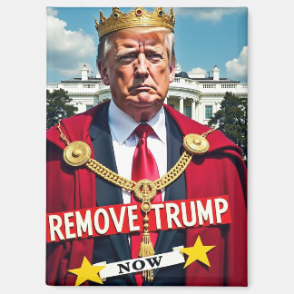 Anti-Trump Remove Trump Magnet