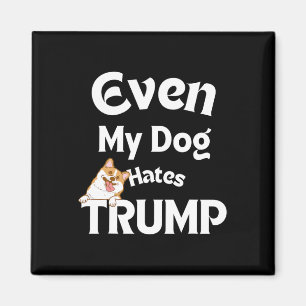 Anti Trump Tees Dog Hates Donald 3 Magnet