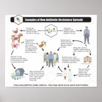 Antibiotic Resistance Health Wellness poster