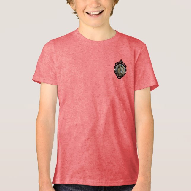 Antic Mushroom  Tri-Blend Shirt (Front)
