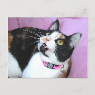 anticipation postcard