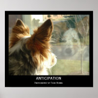 Anticipation