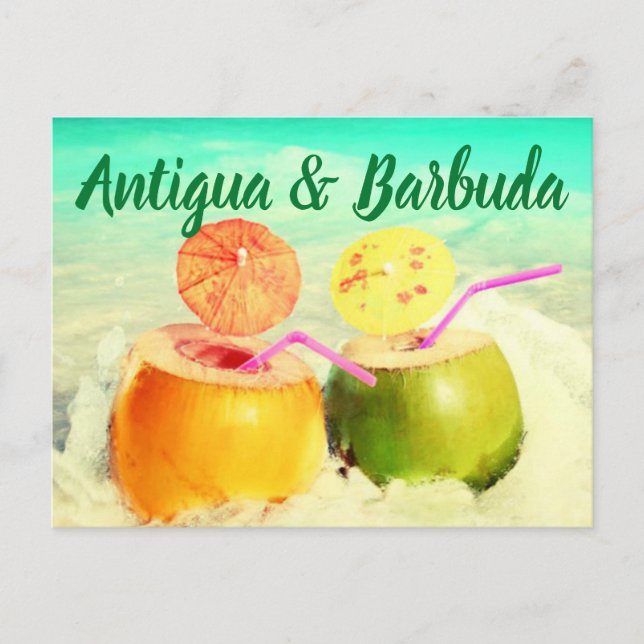 Antigua & Barbuda coconuts Postcard (Front)