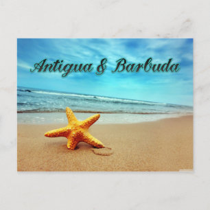 Antigua & Barbuda starfish Postcard
