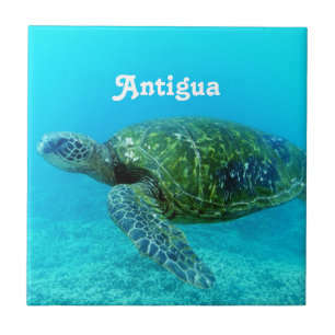 Antigua Hawk Billed Turtle Tile