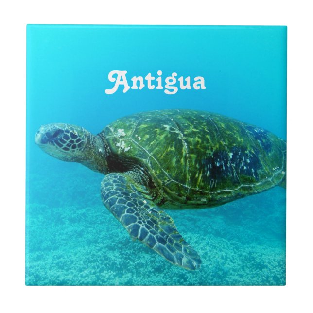 Antigua Hawk Billed Turtle Tile (Front)