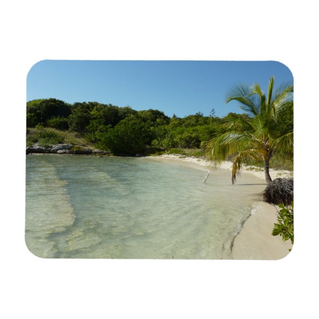 Antiguan Beach Beautiful Tropical Landscape Magnet (Horizontal)