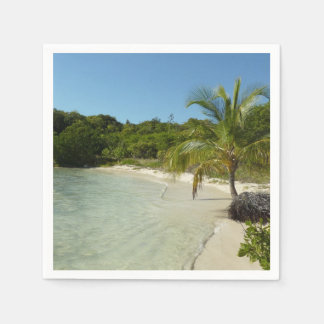 Antiguan Beach Beautiful Tropical Landscape Napkin