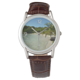 Antiguan Beach Beautiful Tropical Landscape Watch