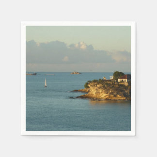 Antiguan Coast Beautiful Island Seascape Napkin