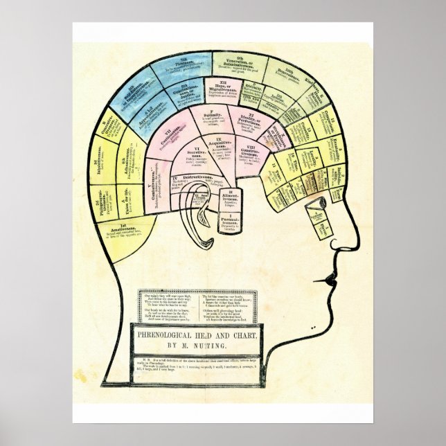 Antique 1857 phrenological head and chart (Front)
